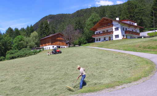 Landwirtschaft Tiere 3
