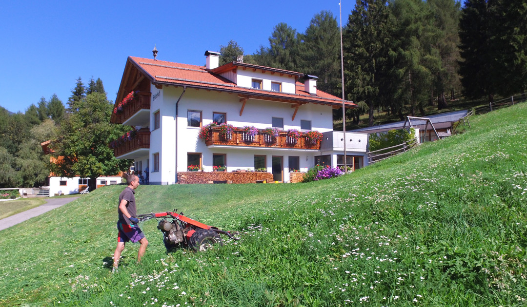 Landwirtschaft Tiere 2