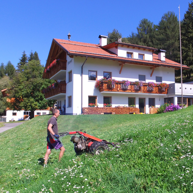 Landwirtschaft Tiere 2